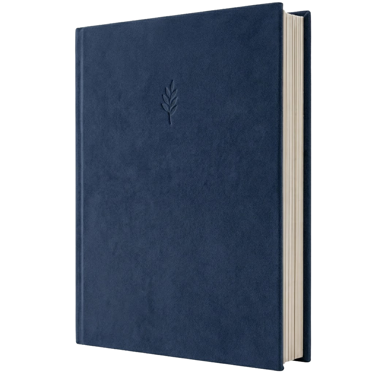 Photo Album - Blue