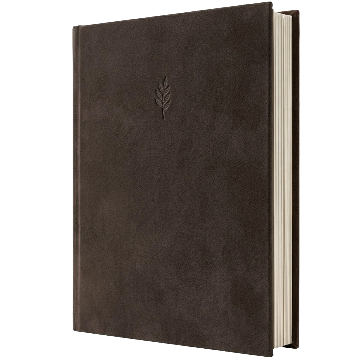Photo Album - Brown