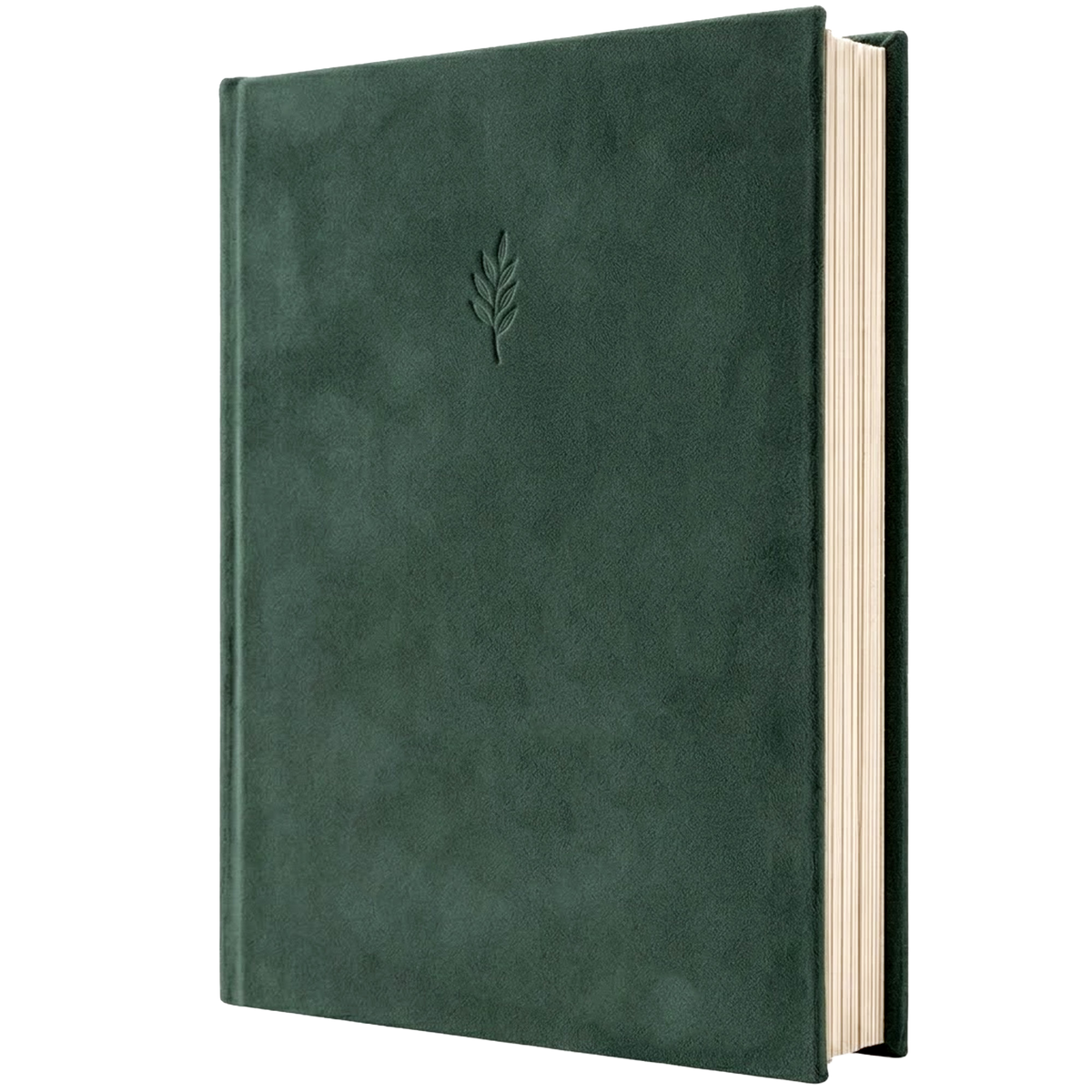 Photo Album - Green