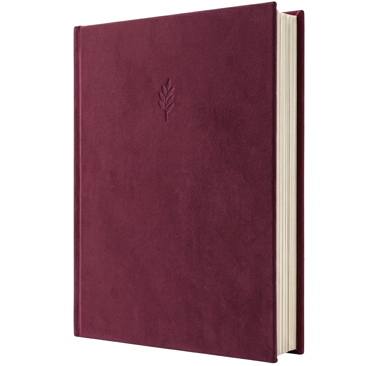 Photo Album - Red