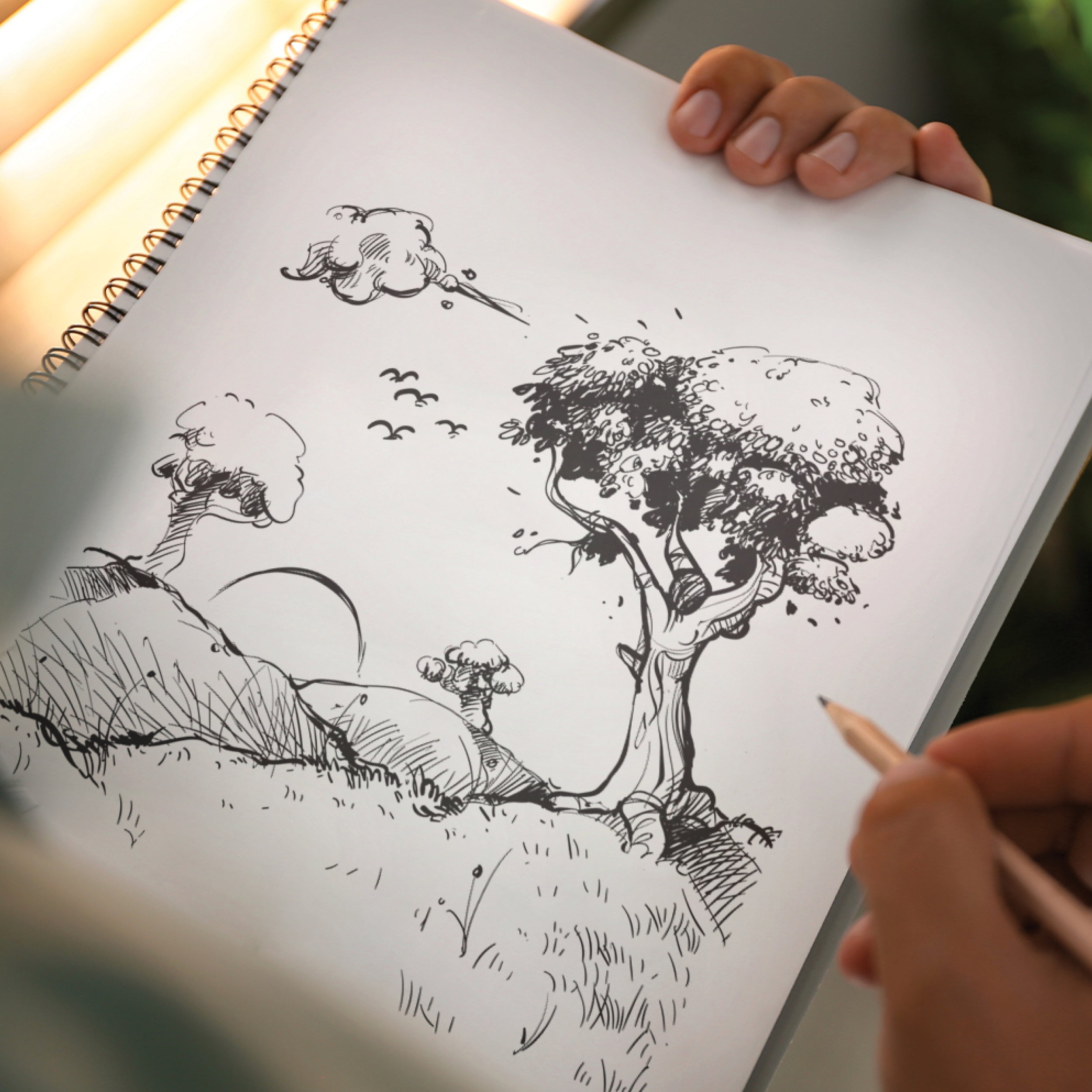 Artist's Sketchbook - String and Space